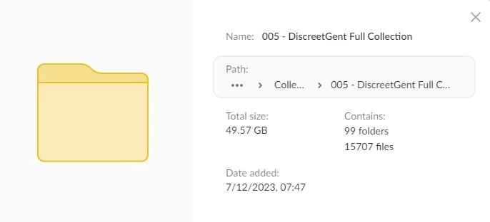 DiscreetGent Collection - 81 Girls