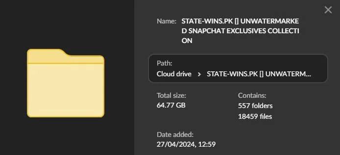 Unwatermarked Snapchat Exclusives Leaks - 210 Girls [65 GB]